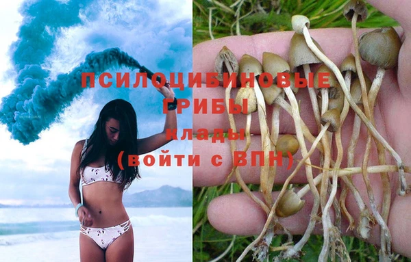 COCAINE Алзамай
